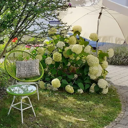 Apartment Im Fischerhaeusle *