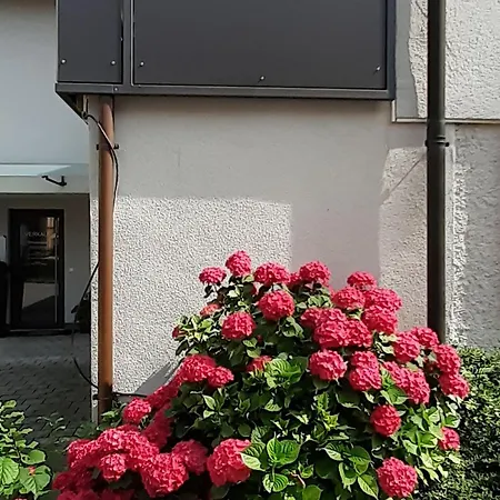 Apartmán Im Fischerhaeusle *